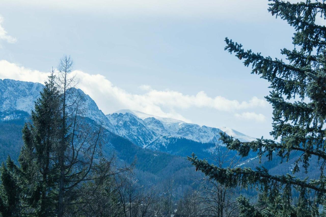 Aparthotel Delta Zakopane Exterior foto